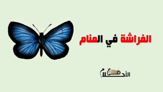 رؤية الفراشة في المنام