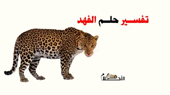 رؤية الفهد في المنام