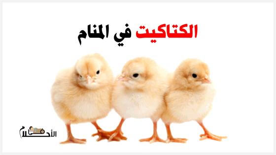 رؤية الكتاكيت في المنام