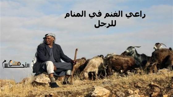 راعي الغنم في المنام للرجل