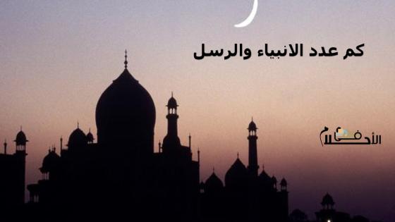 كم عدد الانبياء والرسل