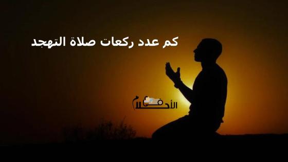 كم عدد ركعات صلاة التهجد