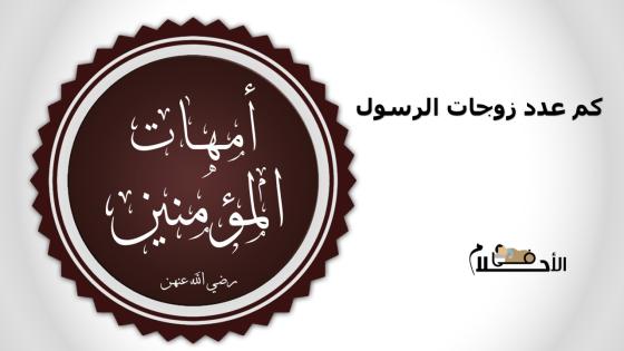 كم عدد زوجات الرسول